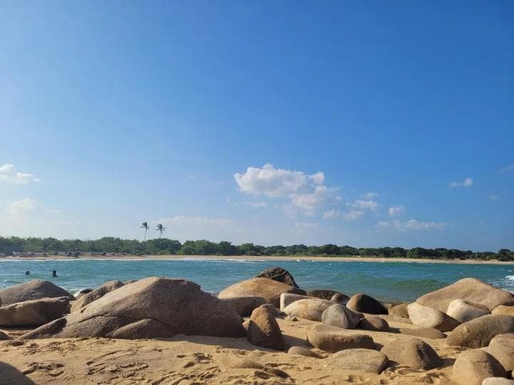 Patanangala Beach The Safari Shore