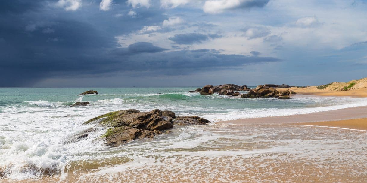 Yala's Untamed Coast: Where the Jungle Meets the Ocean