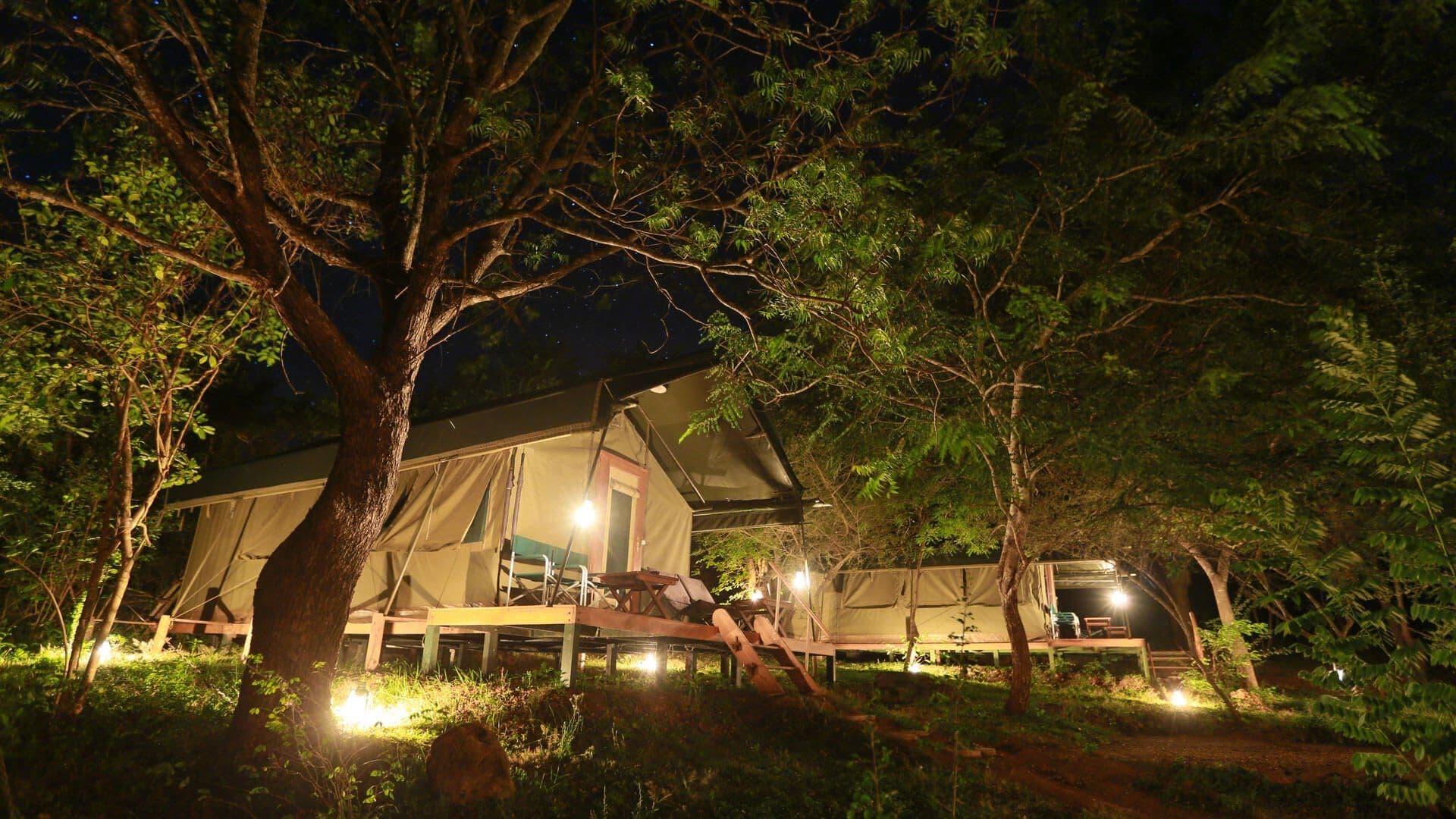 Luxury Wilderness: Glamping in the Yala Jungle