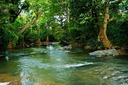 Explore the wild jungle river of Menik Ganga.