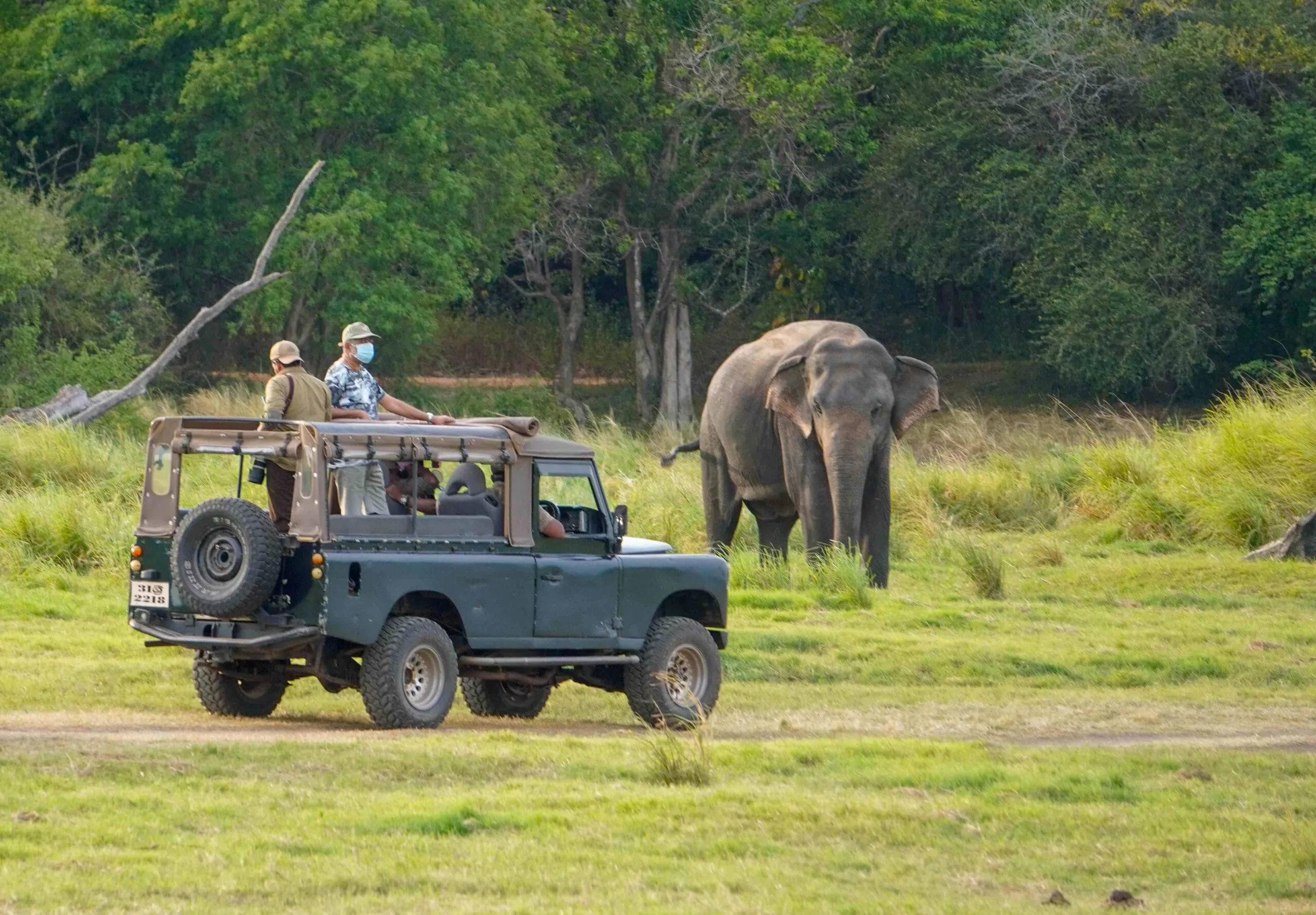 The Elephant Corridor: Exploring Lunugamvehera National Park as a Quieter Alternative to Yala