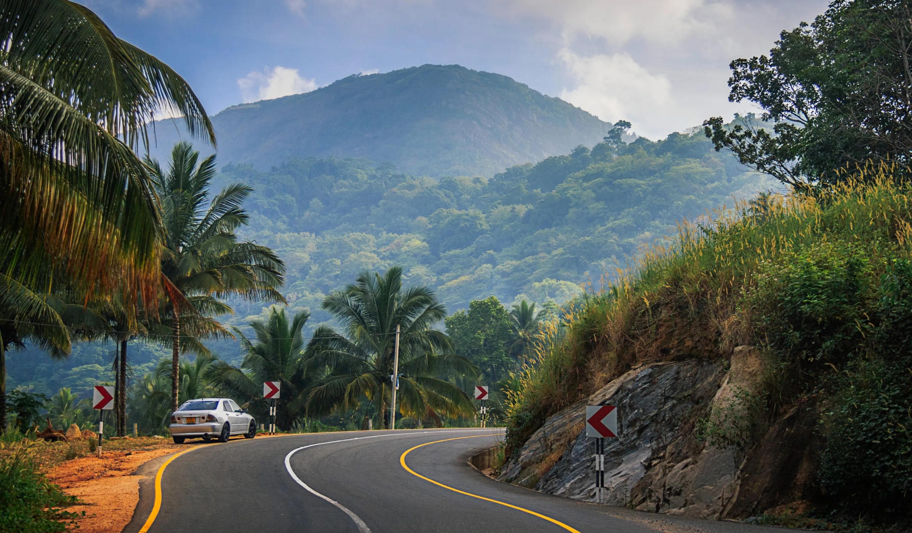 Getting to the Wild: Your Complete Guide on Transportation to Yala from Colombo, Ella, and Mirissa