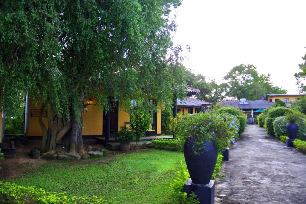 Yala on a Budget: Finding the Best Value Homestays and Hostels in Tissamaharama